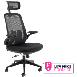 Sigma Executive Mesh Back Chair