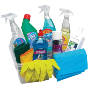 Spring cleaning kit